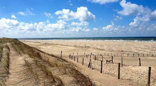Beach Chalet Tranquilo