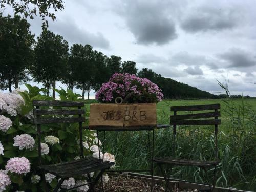 Jo's B&B