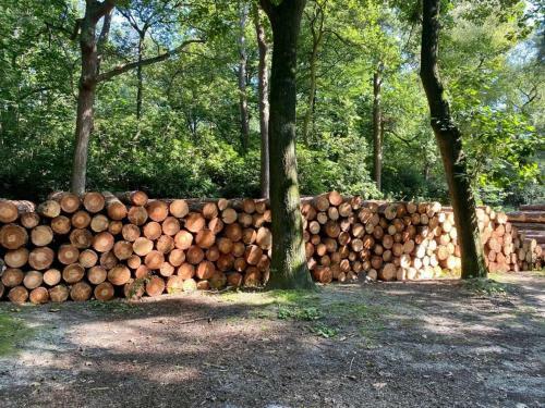 Apartamento Kom Tot Rust In The Forest