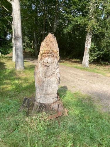 Apartamento Kom Tot Rust In The Forest