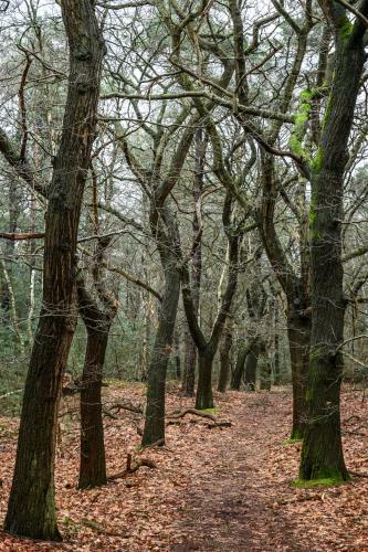 Agroturismo Hofje Van Bieduinen