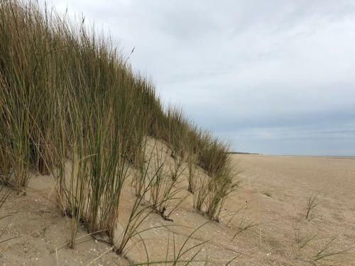 Lovely Beachhouse In Ouddorp