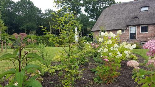 Magnificent Farmhouse In Central Holland 4a 2c