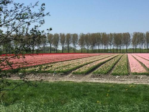 Rekerlanden 154