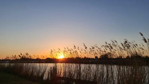 Apartamento Verborgen Parel Aan De Rotte