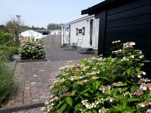 Chaletpark Krabbenkreek