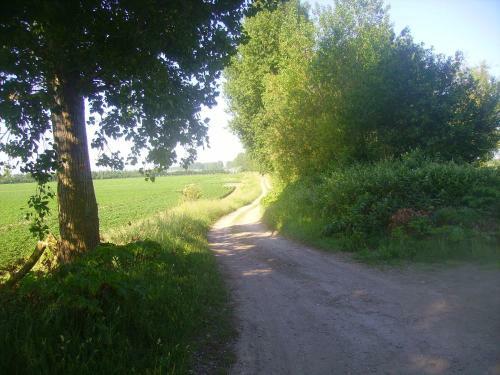 Chaletpark Krabbenkreek