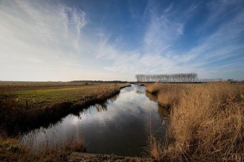 Huisje Vogelenzang Zeeland