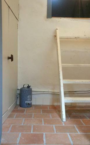 Huisje Vogelenzang Zeeland