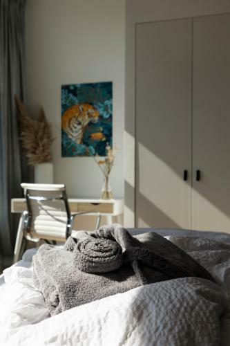 Huize Copes Apartment Den Haag, 2 Bed, 2 Bath