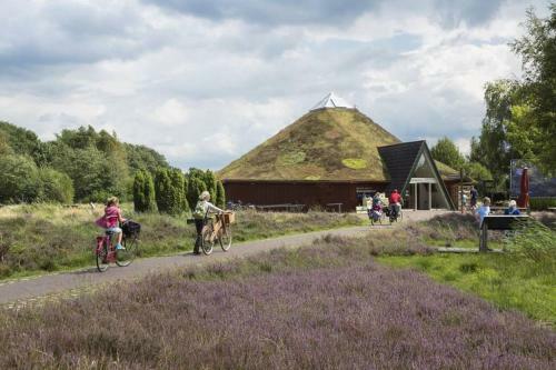 Drentse Bungalow In Natuur En Rust