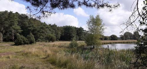 Drentse Bungalow In Natuur En Rust