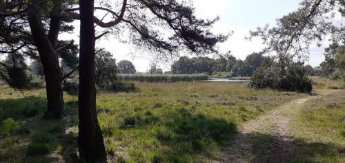 Drentse Bungalow In Natuur En Rust
