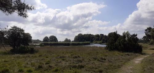 Drentse Bungalow In Natuur En Rust