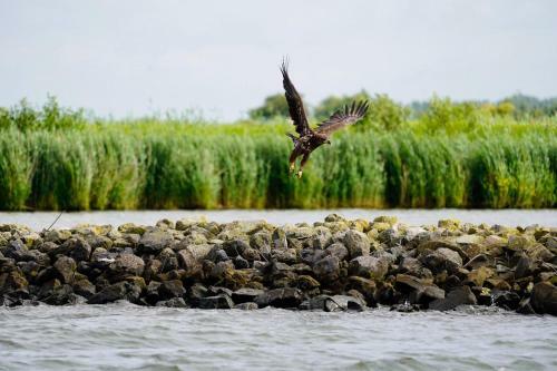 B&B Logeren Bij De Burgemeester