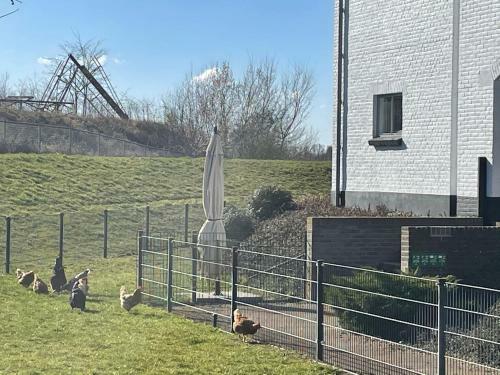 B&B Pompgebouw Aan De Rijn