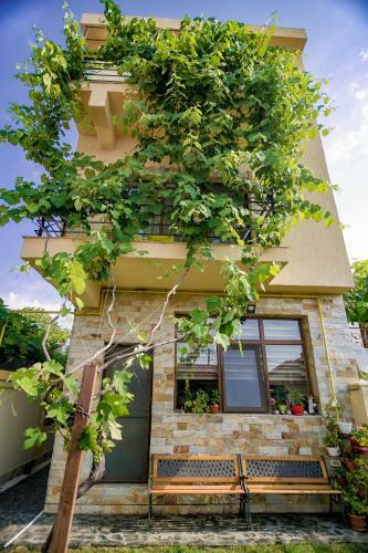 Hostal Casa Amelie Mangalia