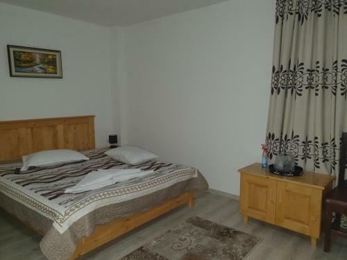 Hostal Pensiunea Ronicson
