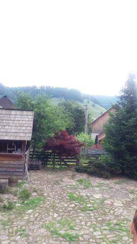 Pintea Cottage - Bucovina