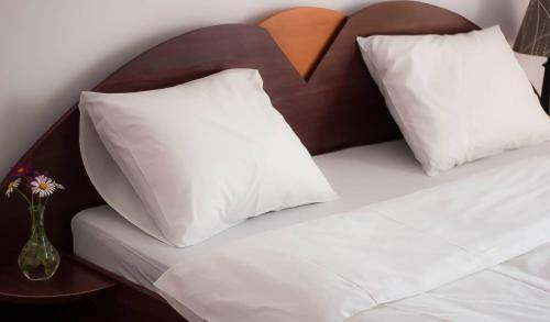 Hostal Pensiunea Tara