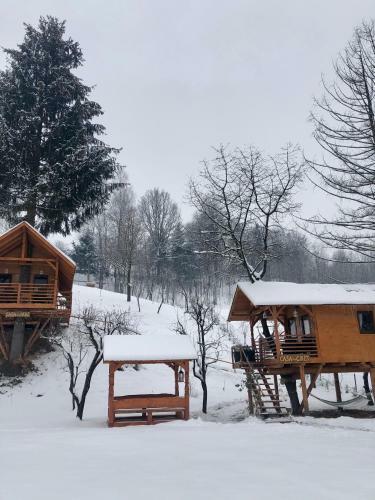 Casuta Din Deal Moisei