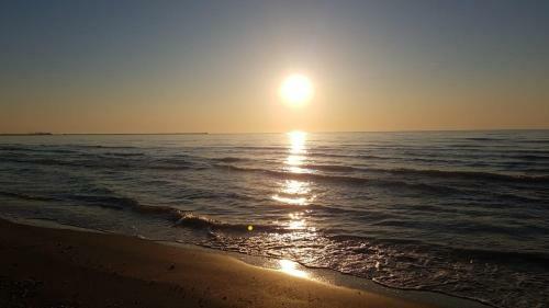 Green Apartment Mamaia Nord