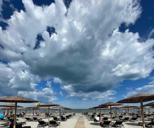 Gray Apartment Mamaia Nord