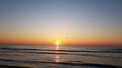 Gray Apartment Mamaia Nord