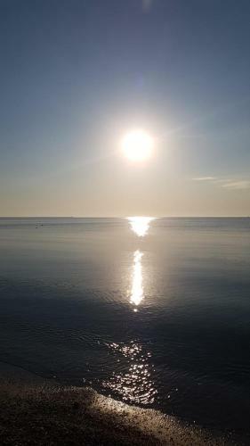 Gray Apartment Mamaia Nord