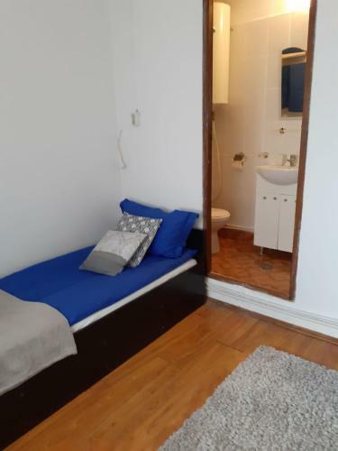 Hostal Pensiunea Casa Brancusi