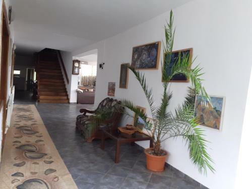 Hostal Pensiunea Casa Brancusi