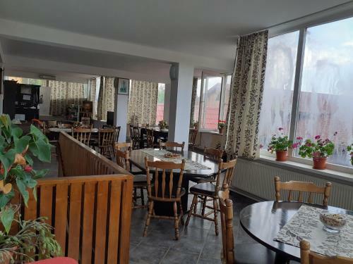 Hostal Pensiunea Casa Brancusi