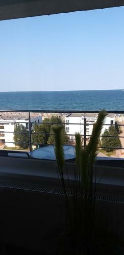 Summerland Sea View Apartment