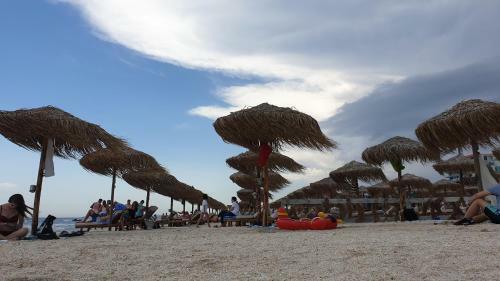 Stefaida Summerland Apartments Mamaia