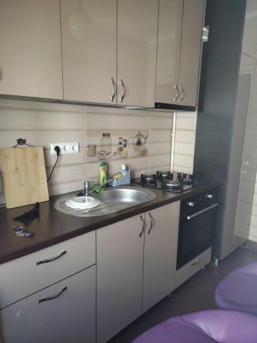 Exclusive Apartments Ploie?ti