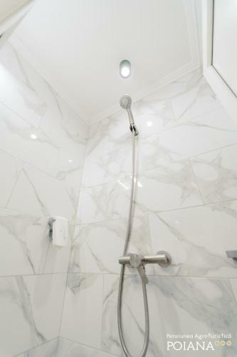 Hostal Pensiunea Agroturistica Poiana