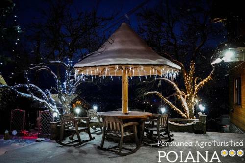 Hostal Pensiunea Agroturistica Poiana