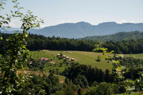 My Little Village
