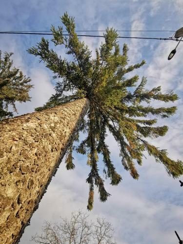 Jugul ??ranului Agropensiune Polovragi, Gorj