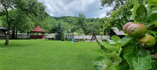 Agroturismo Pensiunea Miraj