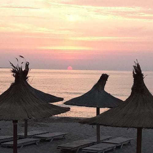 Apartament Papaya Beach-navodari