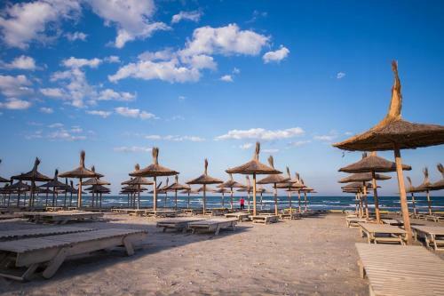 Seaside Apartment Mamaia Nord