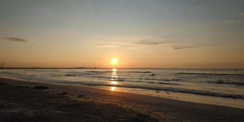 Apartamento Mamaia Nord - Onix