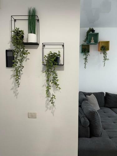 Apartamento Kitesurf Residence