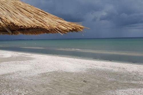 Holguin Apartament Mamaia Nord