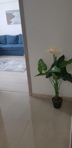 Safir Apartments Nord