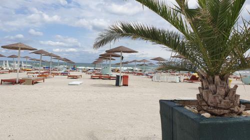 Apartamento Rose By The Sea