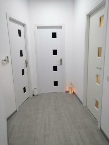 Nemo Apartment