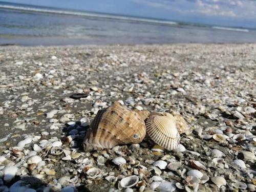 Apartamento Forever Sunrise Mamaia Nord