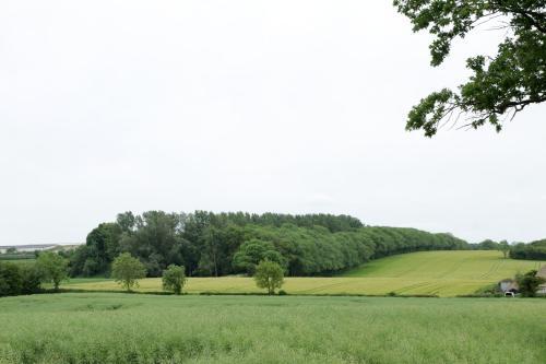 Old Coach House Motel